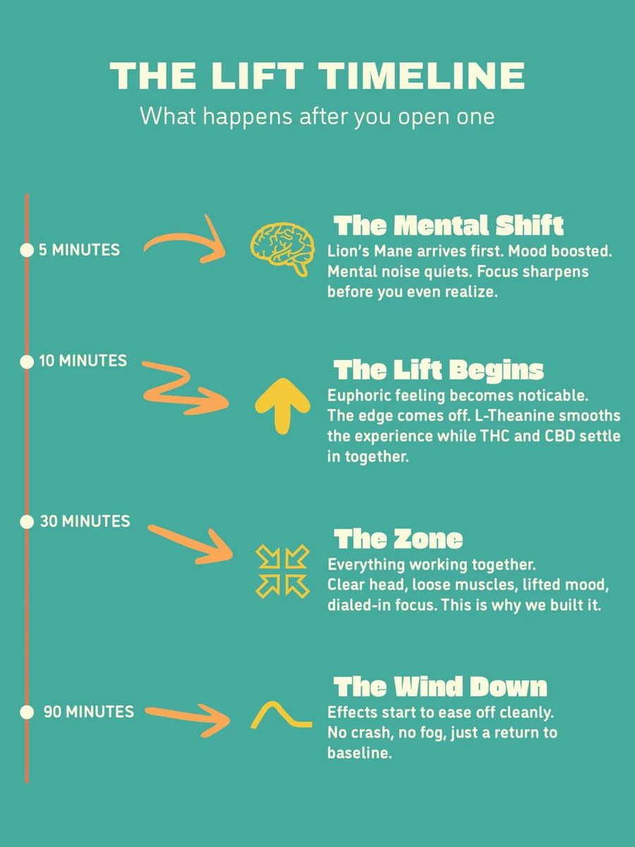 The Lift Timeline: what to expect at 5, 10, 30 and 90 minutes